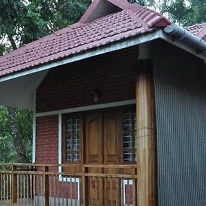 Superior Double or Twin Room Garden View
